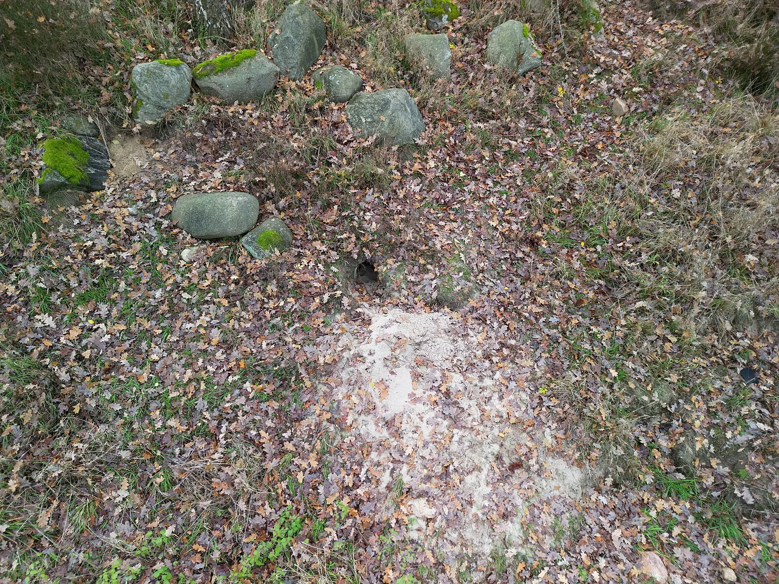 Lancken - Granitz Dolmens